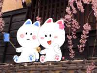 重庆博千隆农业发展有限公司